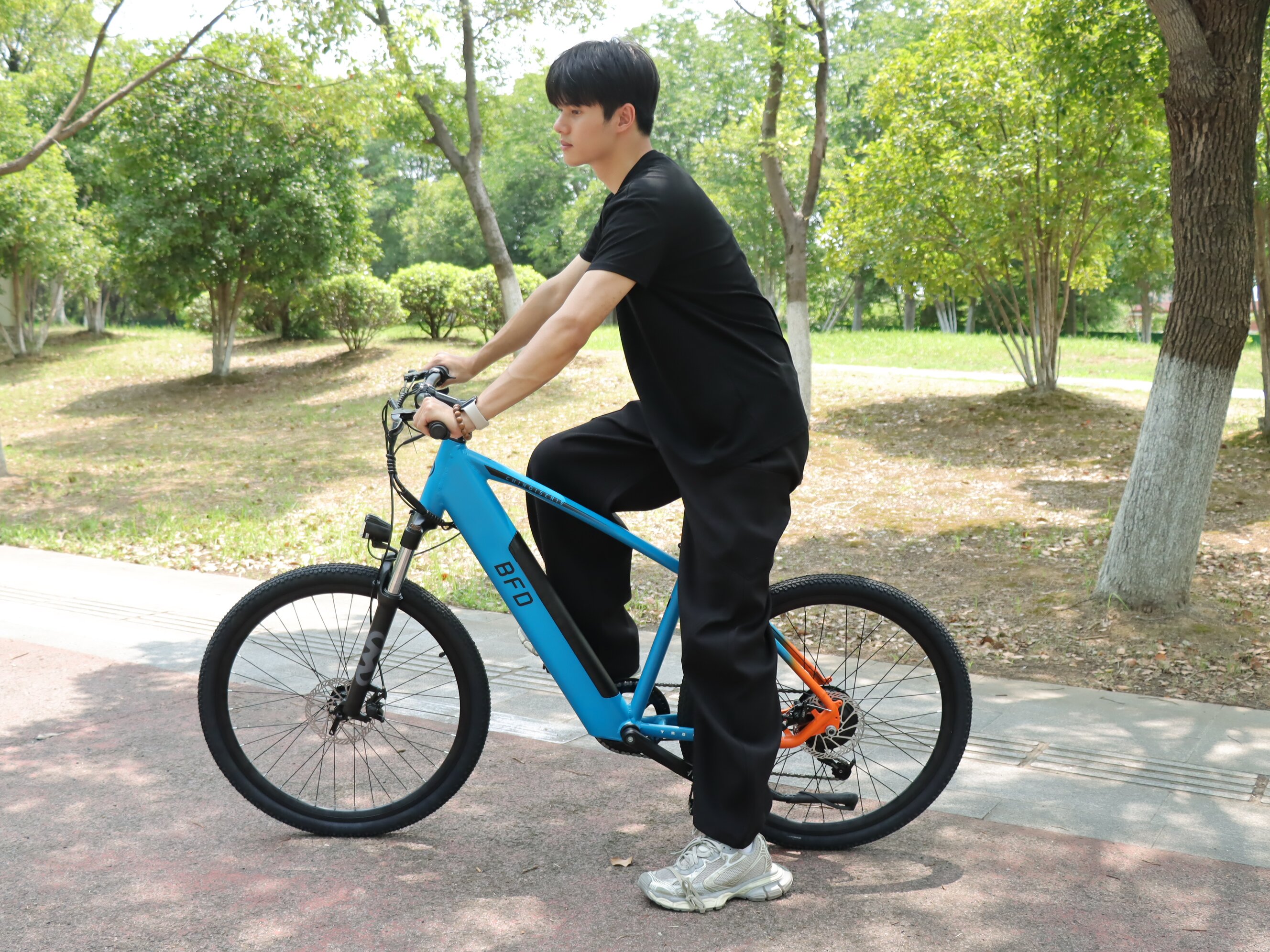 Electric Mountain Bike Al Fram – Mountain Biking App Bewertung und Preis